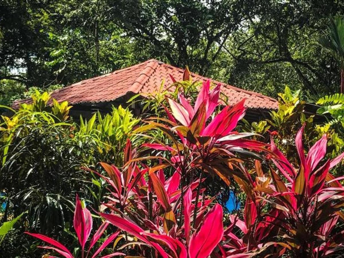 Casa Colores Montezuma Dış mekan fotoğraf