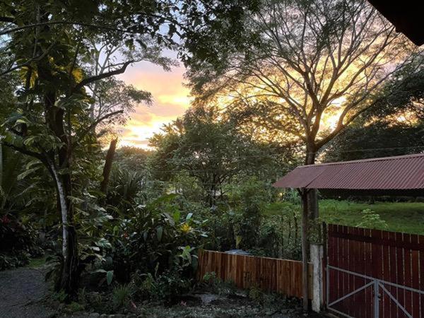 Casa Colores Montezuma Dış mekan fotoğraf