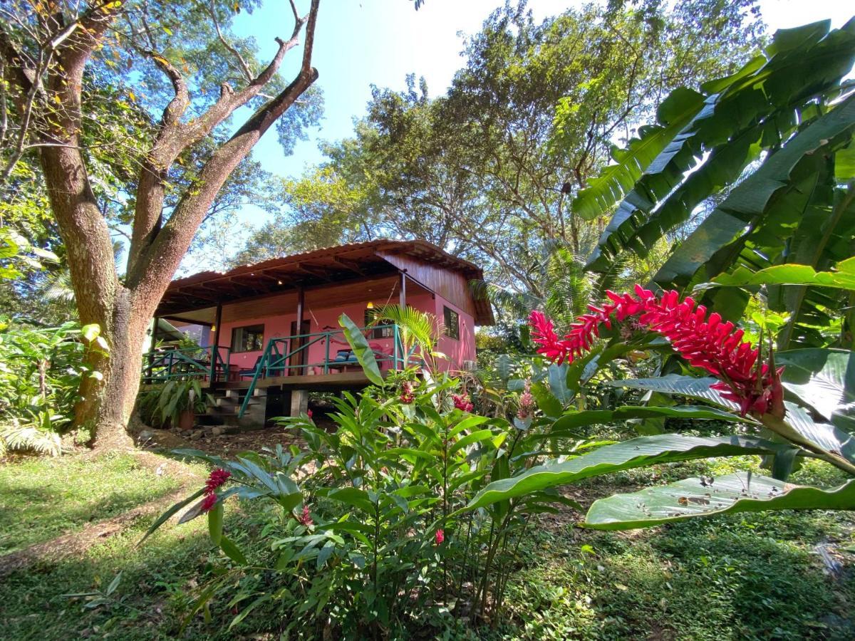 Casa Colores Montezuma Dış mekan fotoğraf