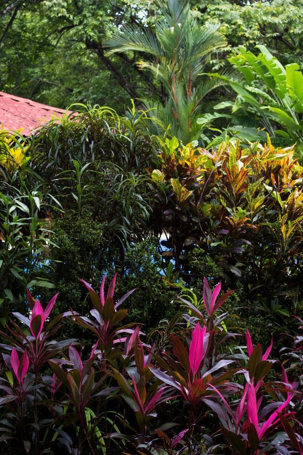 Casa Colores Montezuma Dış mekan fotoğraf